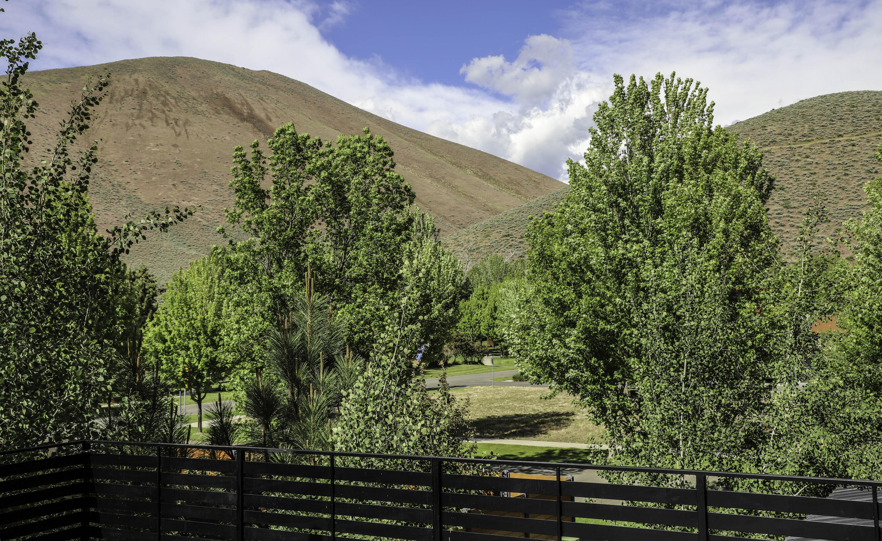 625 Doc's Hickory Drive Hailey, ID 83333 - Photo 11 of 25 Deck View East