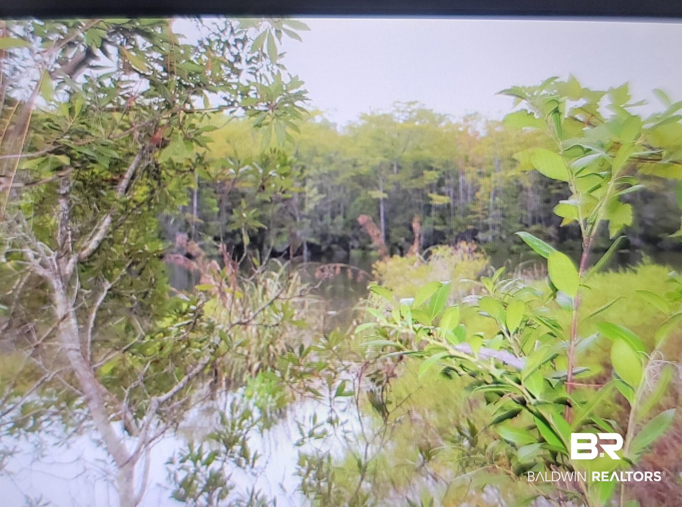 0 Juniper Road Seminole, AL 36574 - Photo 16 of 26