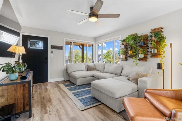 a living room with furniture and a potted plant
