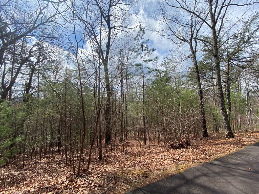 Lot 9 Turtle Ridge Trail Murphy, NC 28906 - Photo 4 of 10