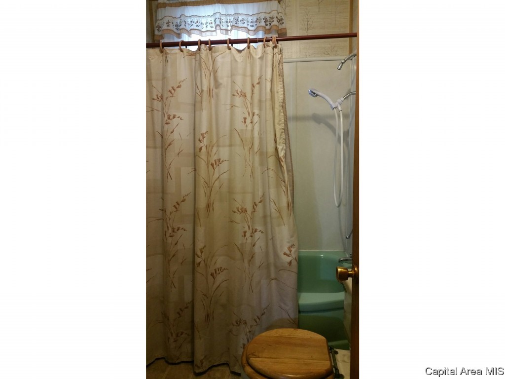 1925 South 19th Street Springfield, IL 62703 - Photo 8 of 22