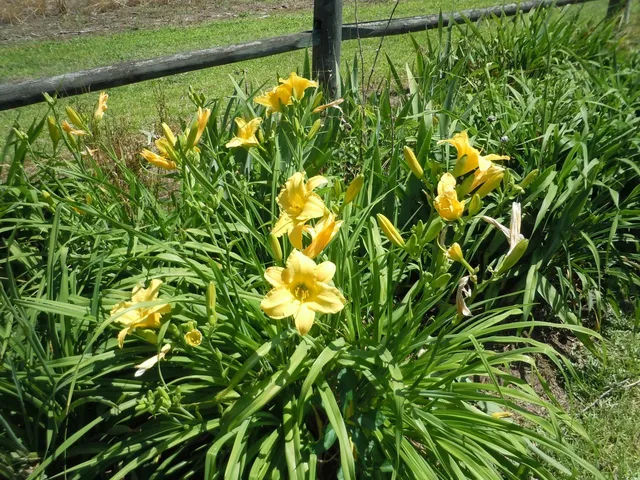 $389,900 | 8202 Joe Brown Highway South, Chadbourn, NC 28431