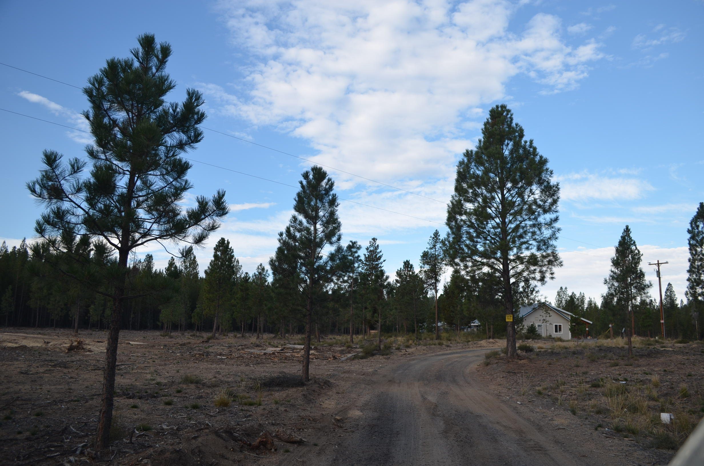 132860 Highway 97 Crescent, OR 97733 - Photo 25 of 25 a view of outdoor space with trees
