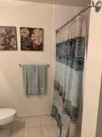 a bathroom with a shower and a toilet