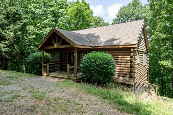 a backyard of a house with plants and tree