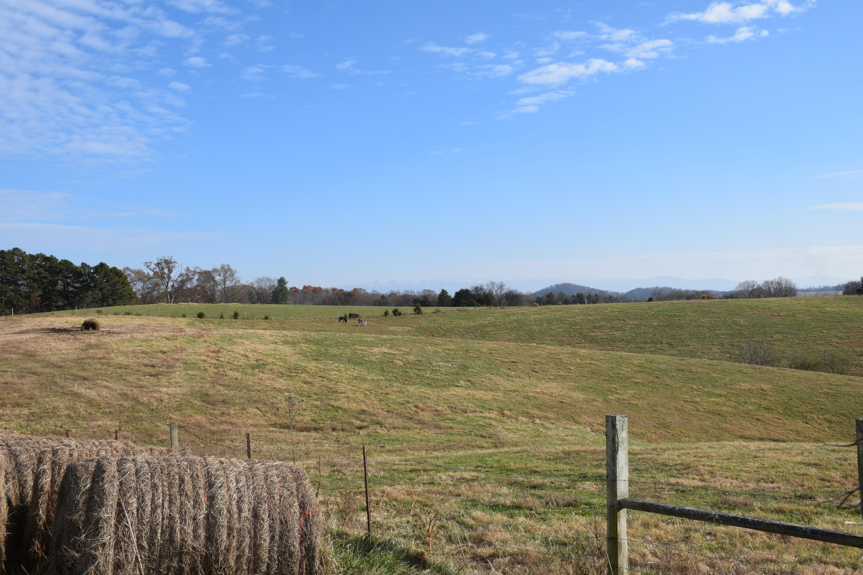 1820 Ritchey Road Loudon, TN 37774 - Photo 1 of 12 Panoramic Views