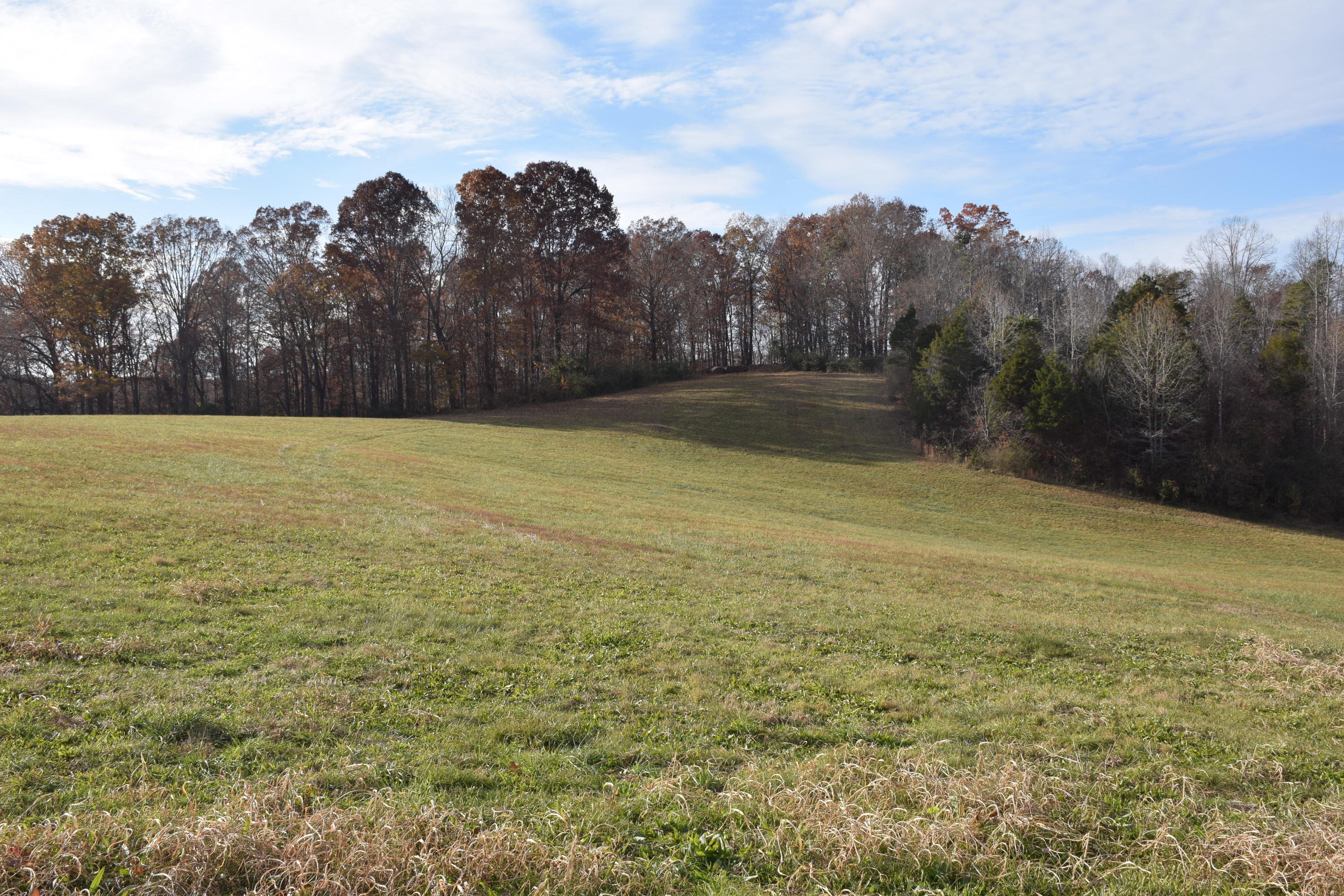 1820 Ritchey Road Loudon, TN 37774 - Photo 3 of 12 Hay Pasture