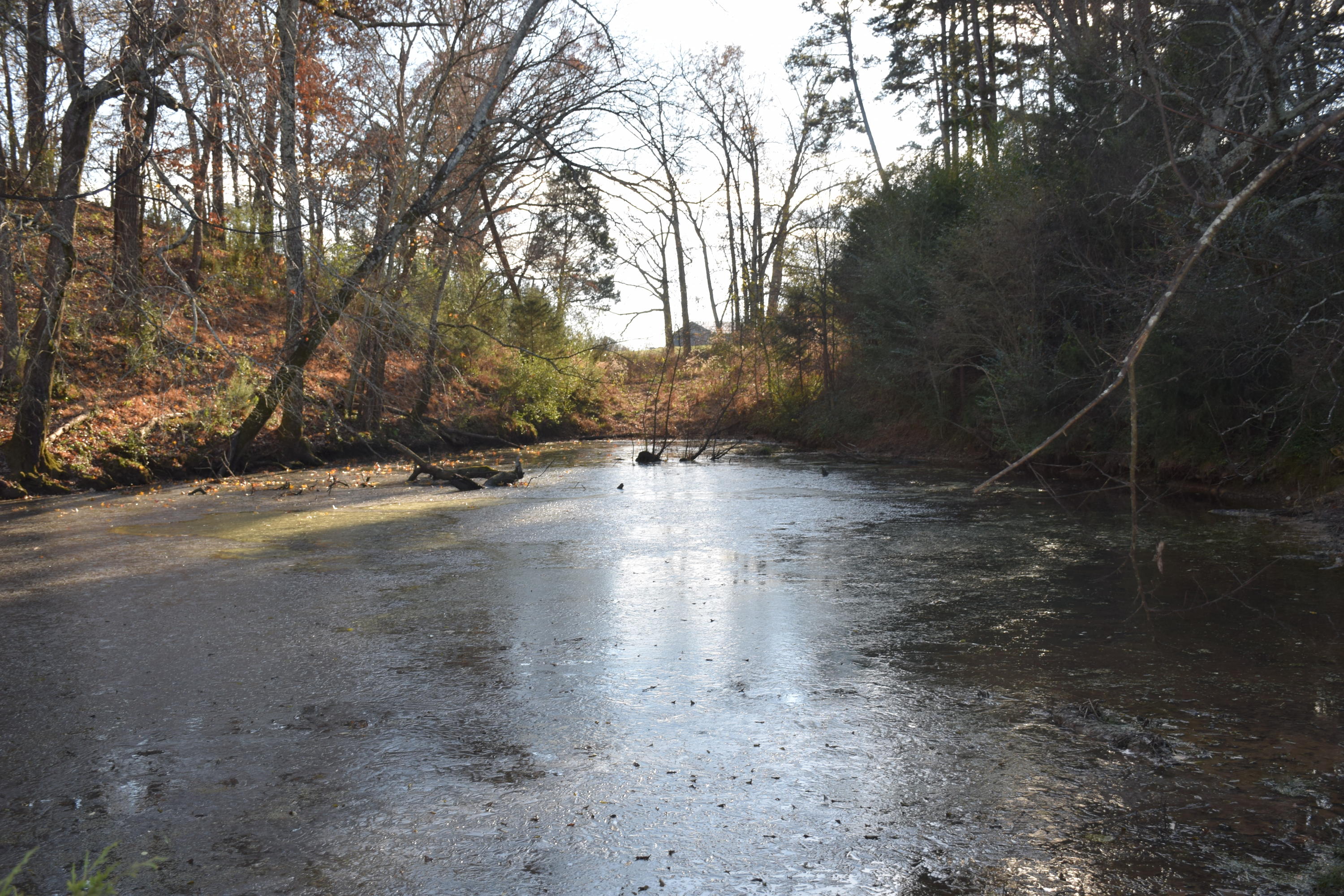 1820 Ritchey Road Loudon, TN 37774 - Photo 4 of 12 Pond