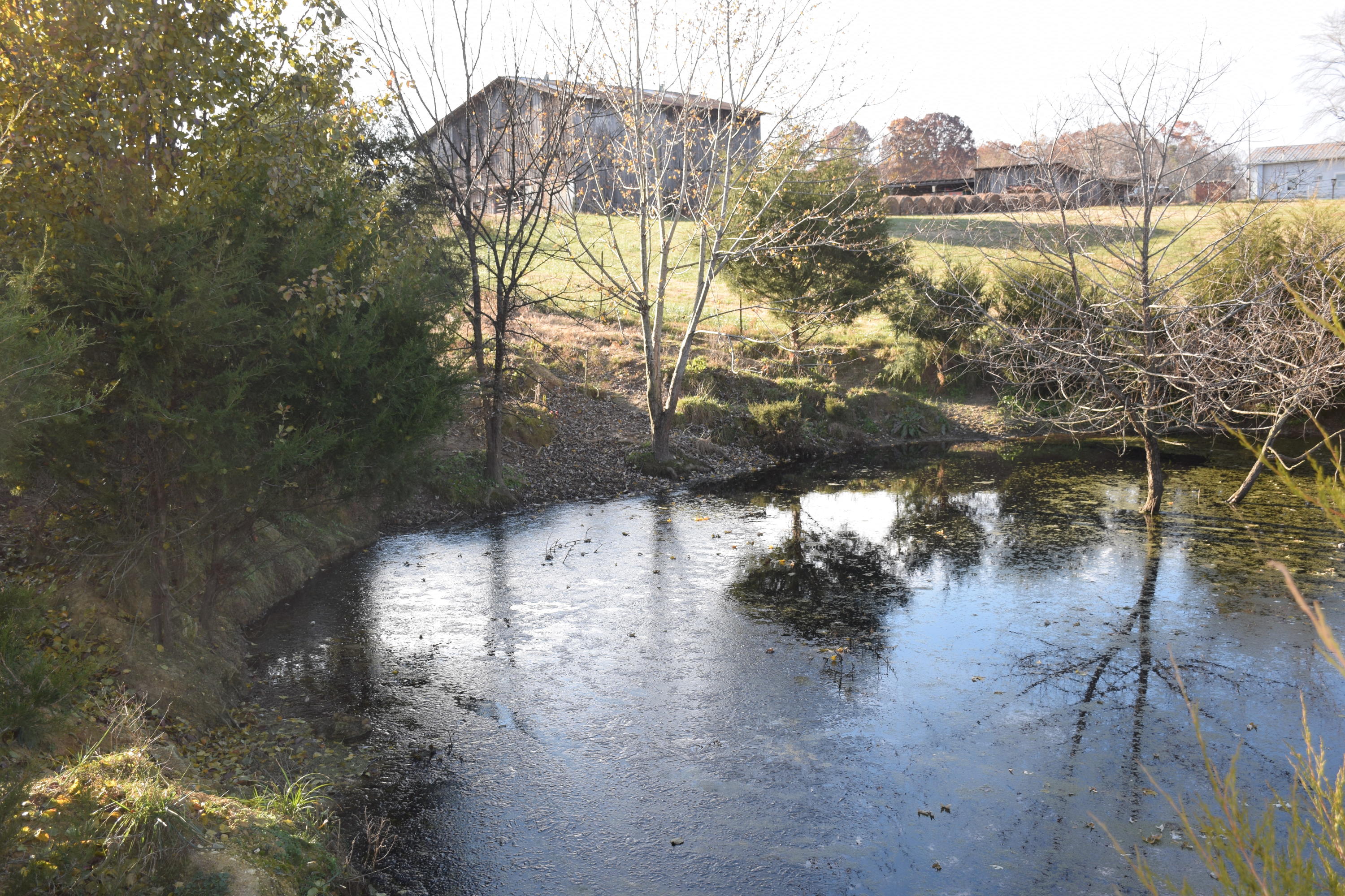 1820 Ritchey Road Loudon, TN 37774 - Photo 5 of 12 Pond 2