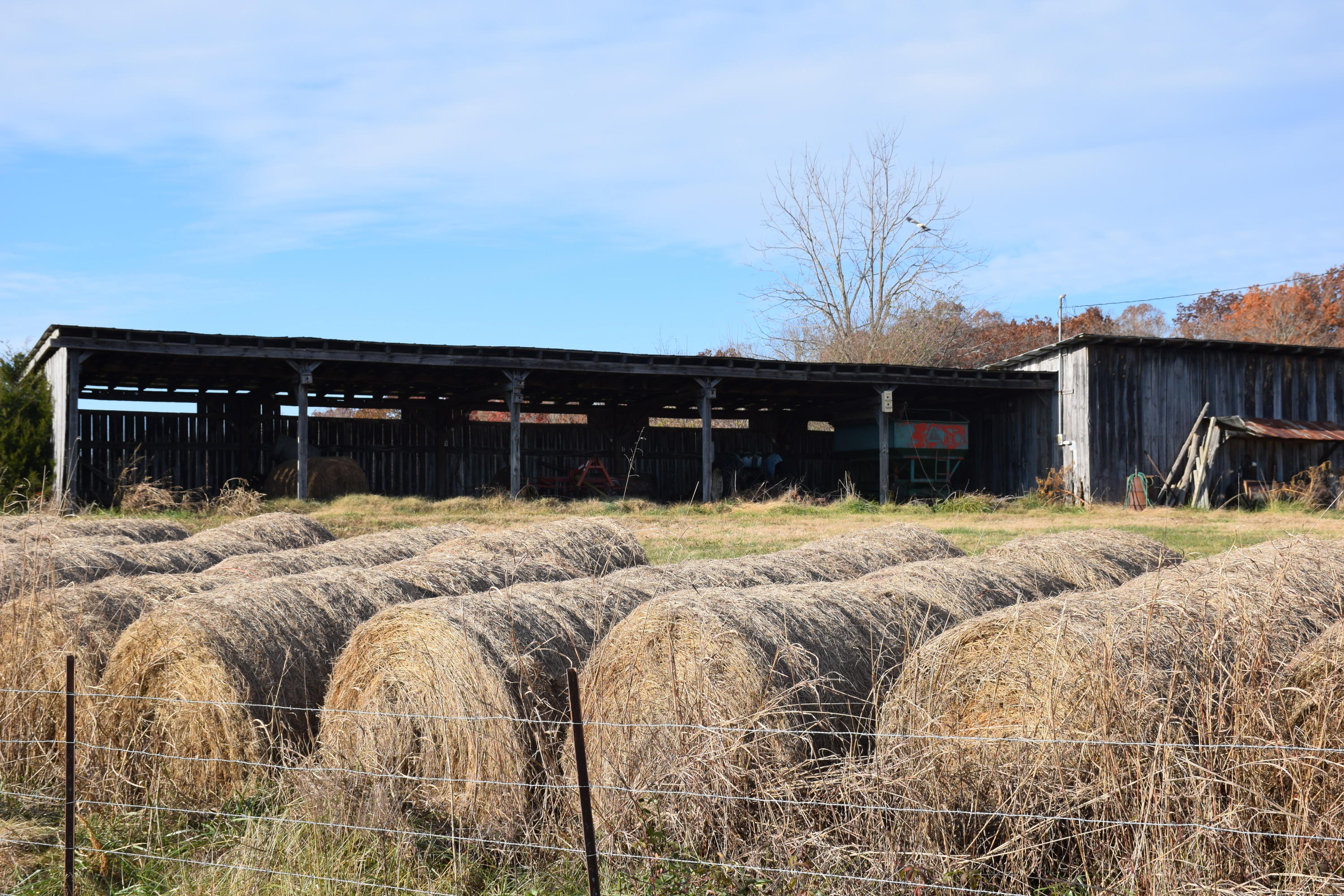 1820 Ritchey Road Loudon, TN 37774 - Photo 7 of 12 Equipment shed