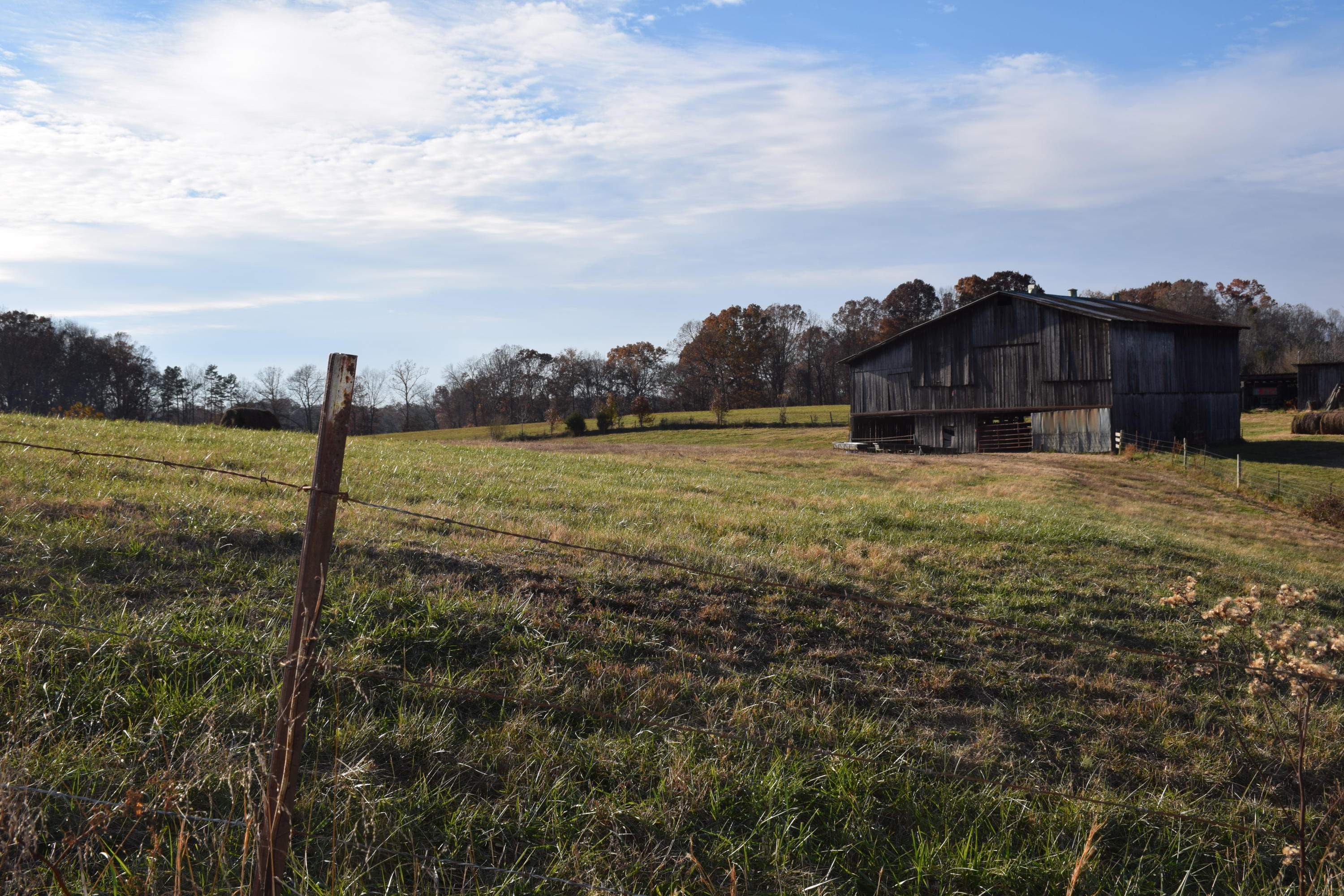 1820 Ritchey Road Loudon, TN 37774 - Photo 8 of 12 barn2