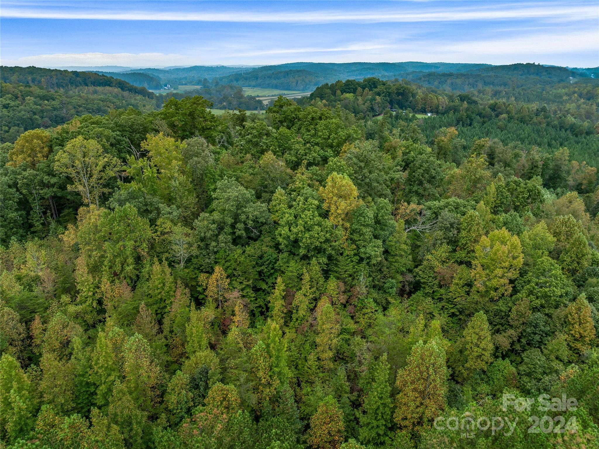 53-acres John Watson Road Rutherfordton, NC 28139 - Photo 13 of 17 a view of a field with a lush green forest