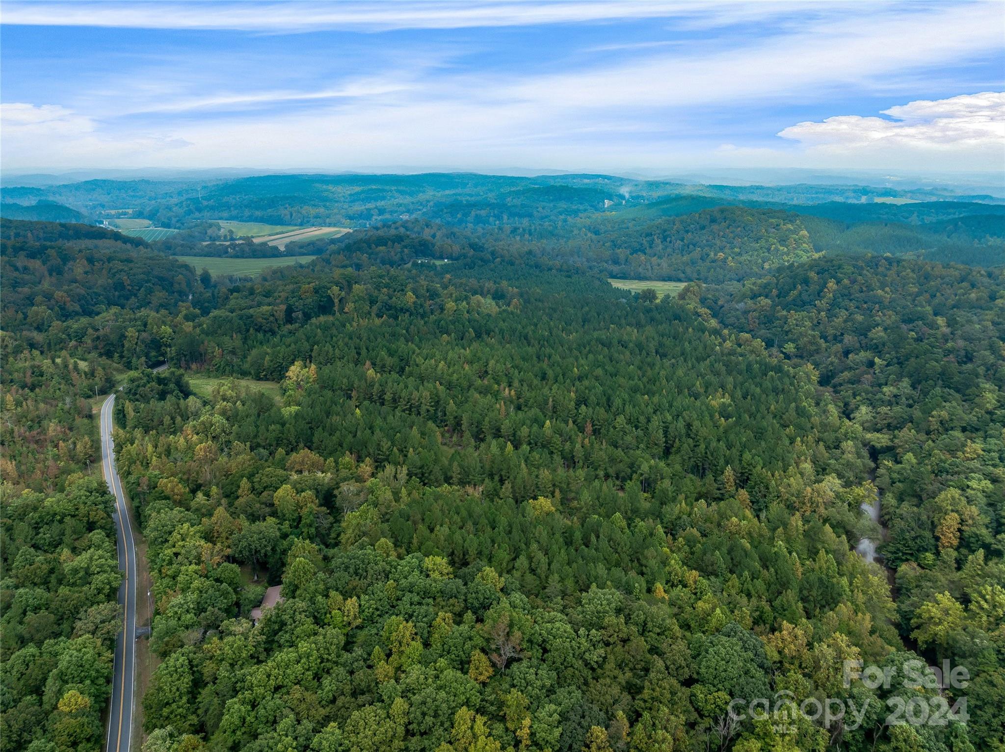 53-acres John Watson Road Rutherfordton, NC 28139 - Photo 15 of 17 a view of a green field with lots of bushes
