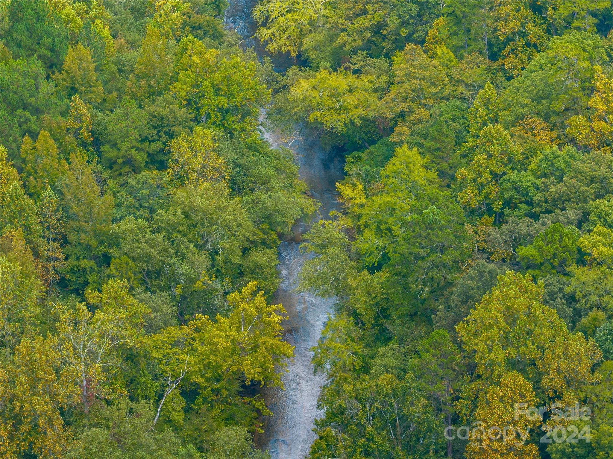 53-acres John Watson Road Rutherfordton, NC 28139 - Photo 3 of 17 a view of a forest