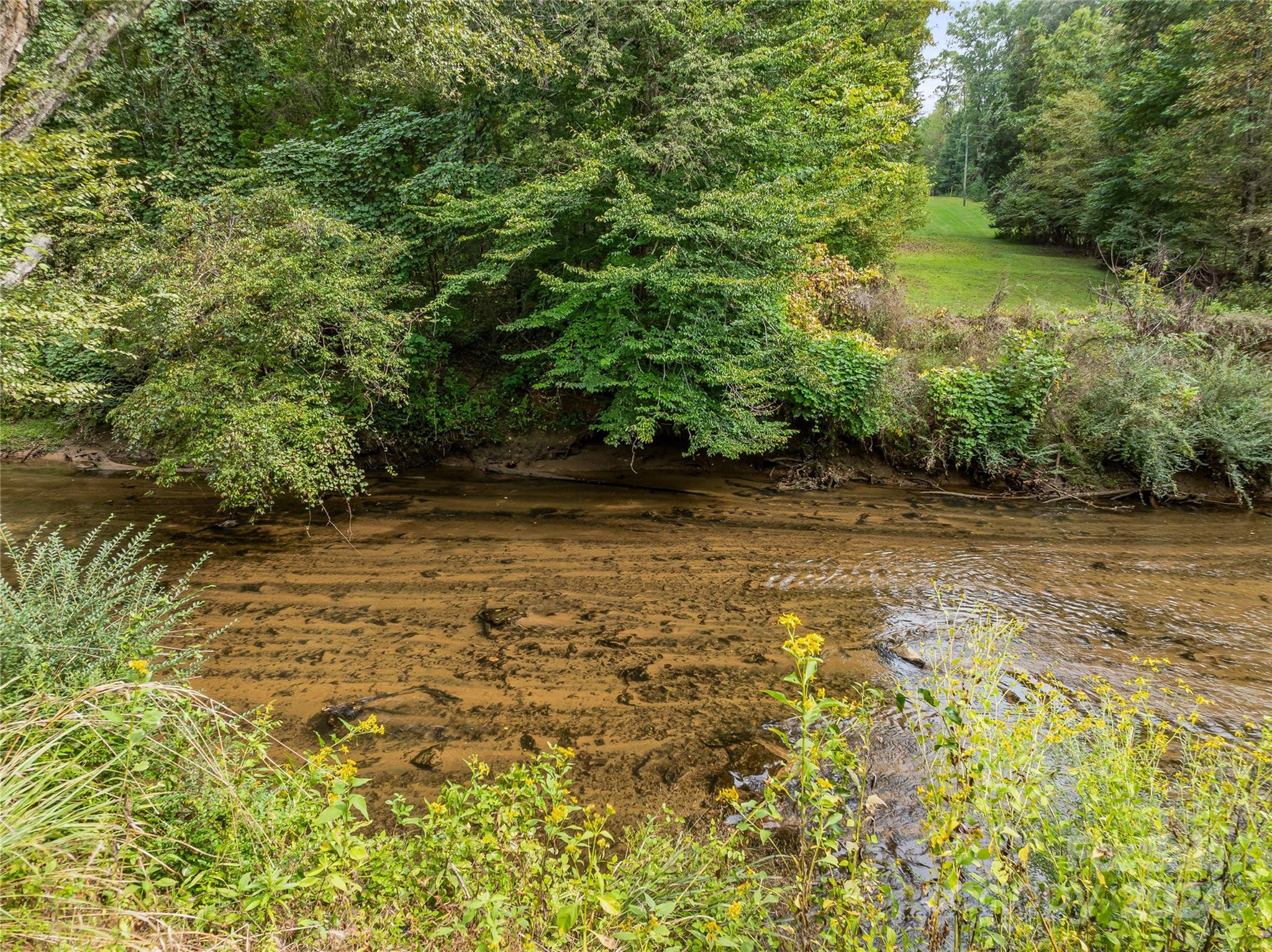 53-acres John Watson Road Rutherfordton, NC 28139 - Photo 4 of 17 a view of a yard with plants and a lawn chair