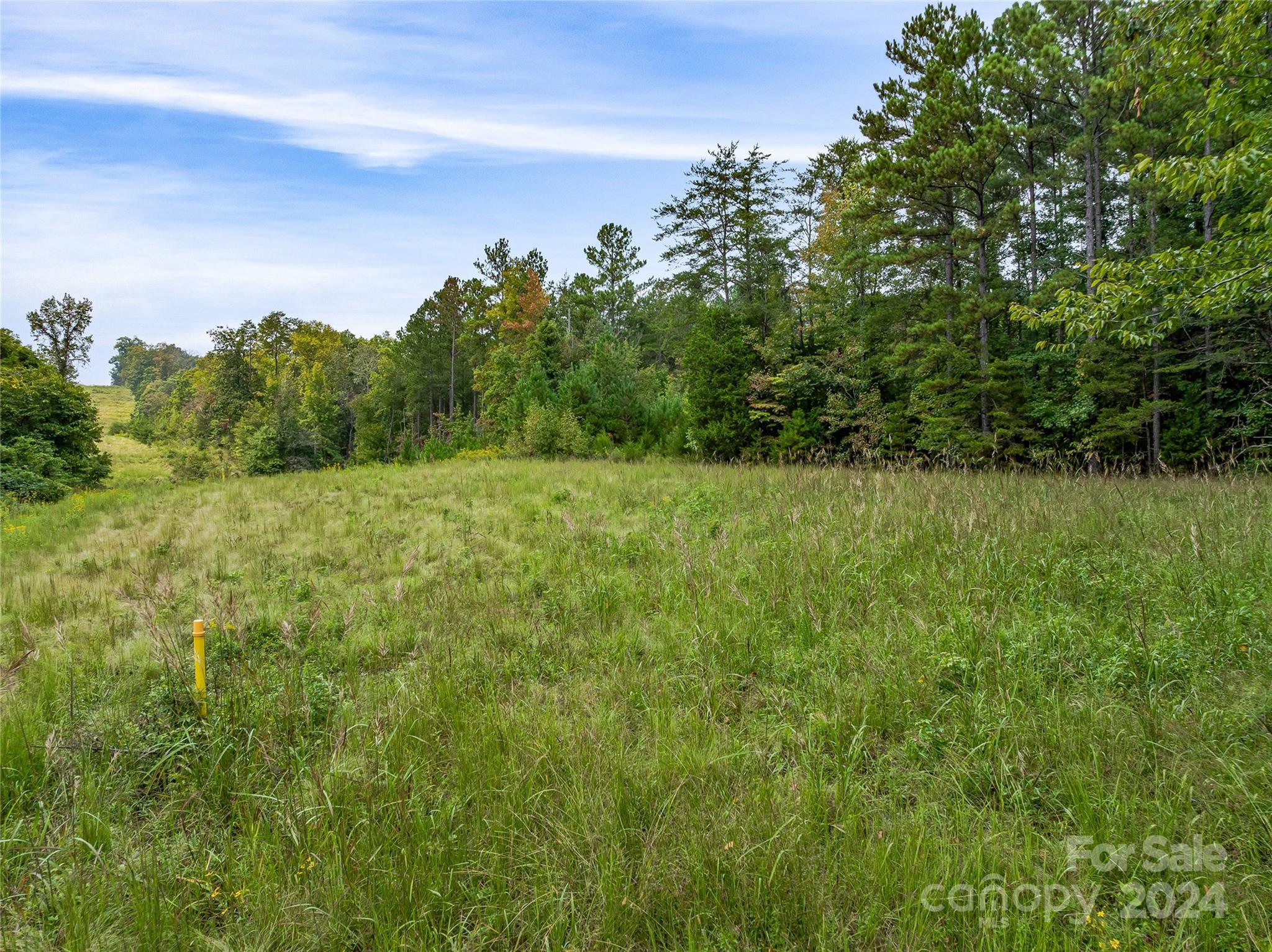 53-acres John Watson Road Rutherfordton, NC 28139 - Photo 8 of 17 a view of a field with trees in the background