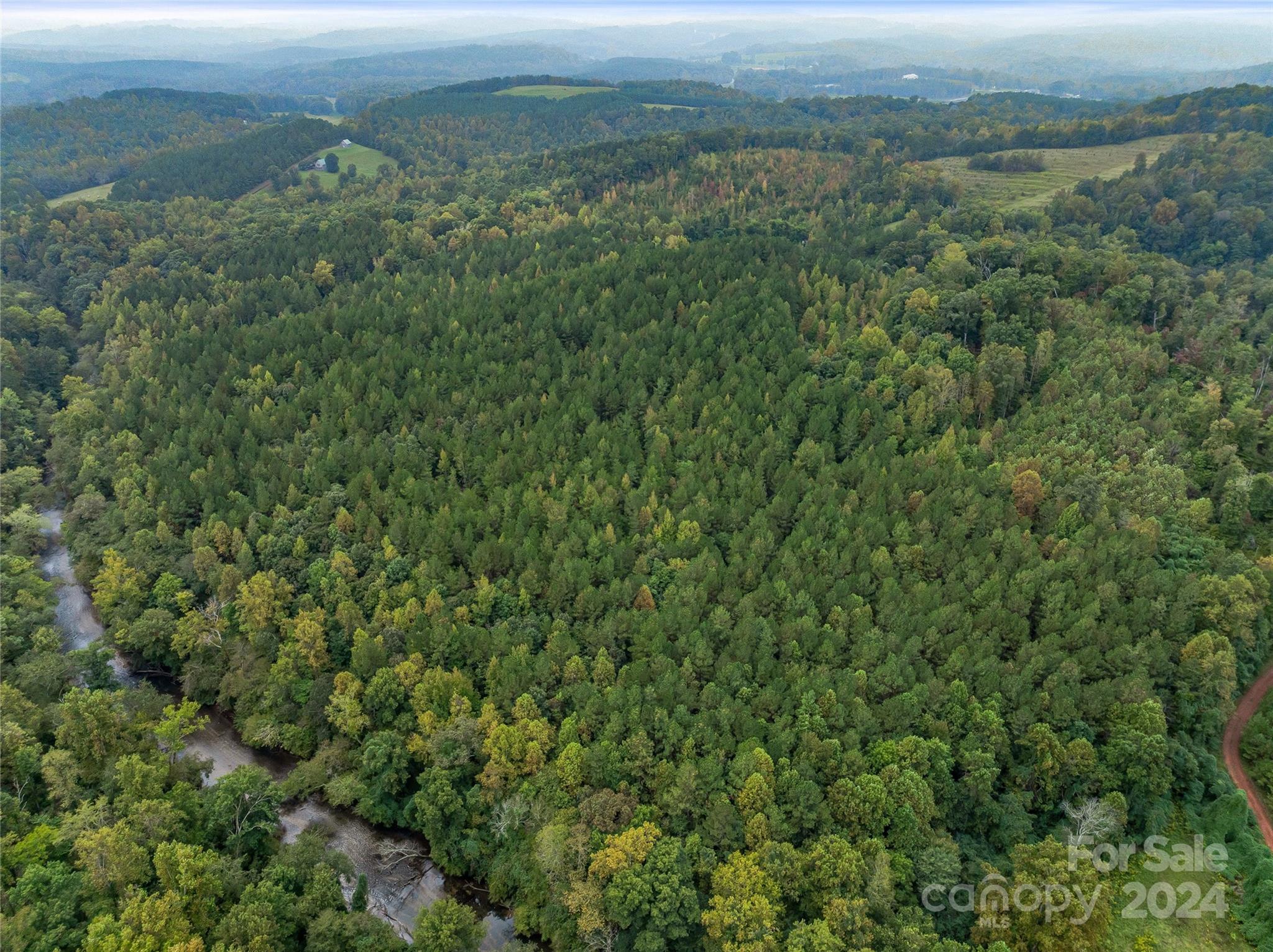 53-acres John Watson Road Rutherfordton, NC 28139 - Photo 10 of 17 an aerial view of houses covered in trees