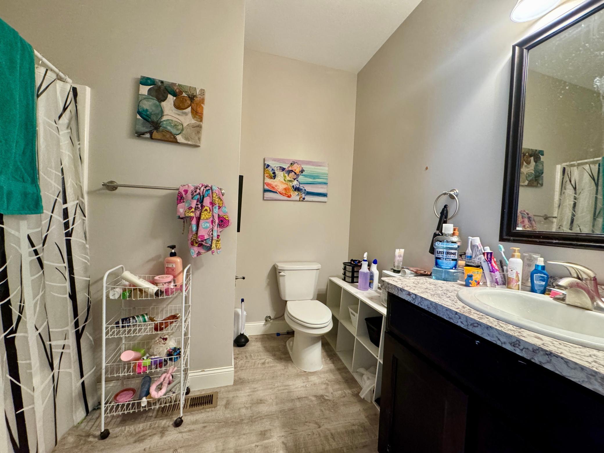 2008 Whiting Road Northwest, Unit 6 Bemidji, MN 56601 - Photo 7 of 14