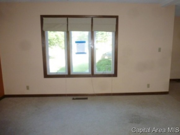 4602 Dogwood Court Decatur, IL 62526 - Photo 4 of 18 Gallery Image 4
