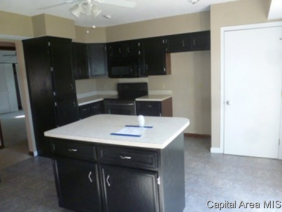 4602 Dogwood Court Decatur, IL 62526 - Photo 5 of 18 Gallery Image 5