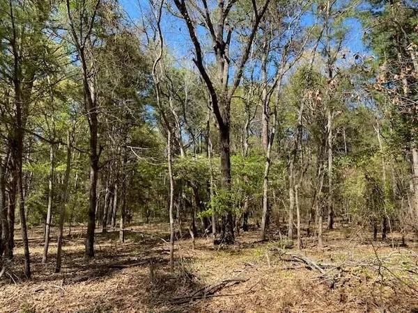 $25,000 | Tbd Broad Meadow, Murchison, TX 75778