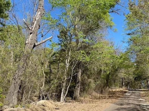 $25,000 | Tbd Broad Meadow, Murchison, TX 75778