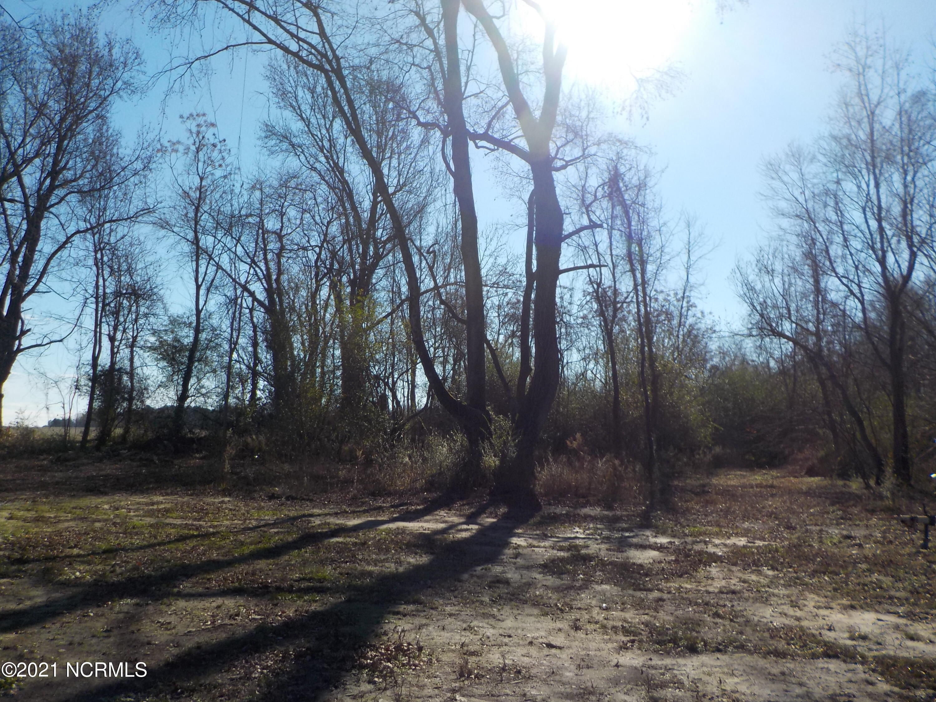 7735 Liles Road Bailey, NC 27807 - Photo 13 of 69 back yard