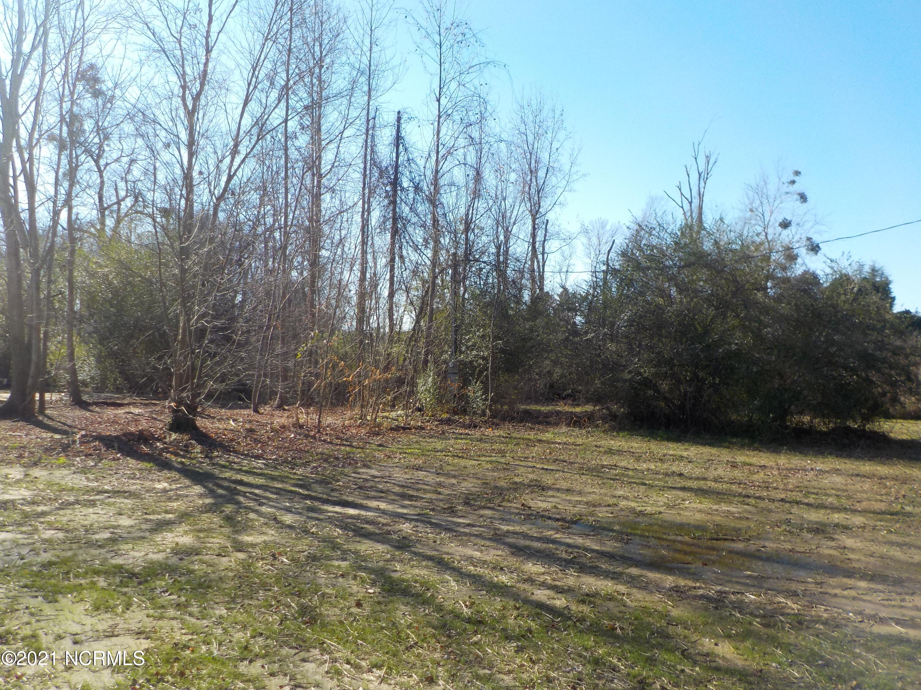 7735 Liles Road Bailey, NC 27807 - Photo 14 of 69 back yard