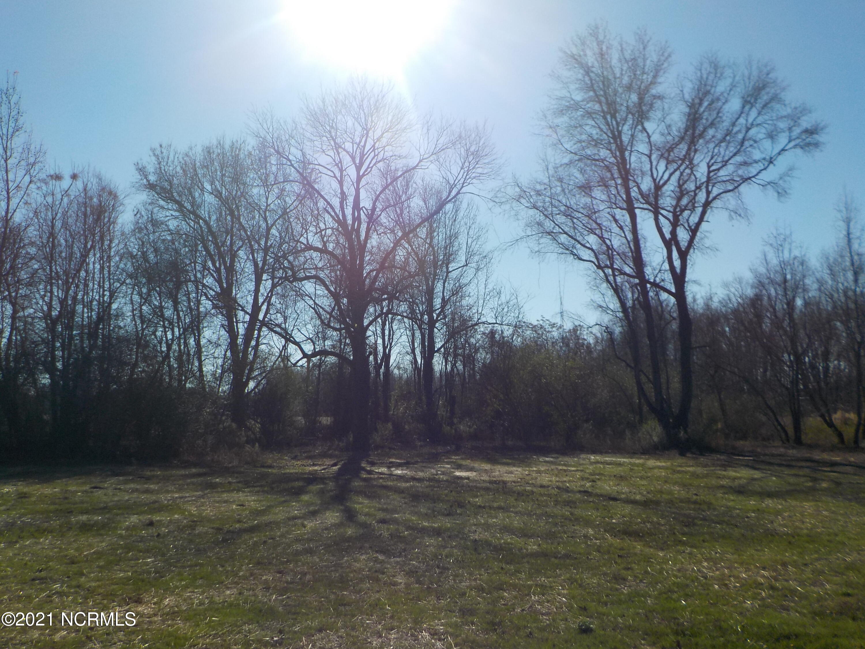 7735 Liles Road Bailey, NC 27807 - Photo 15 of 69 back yard