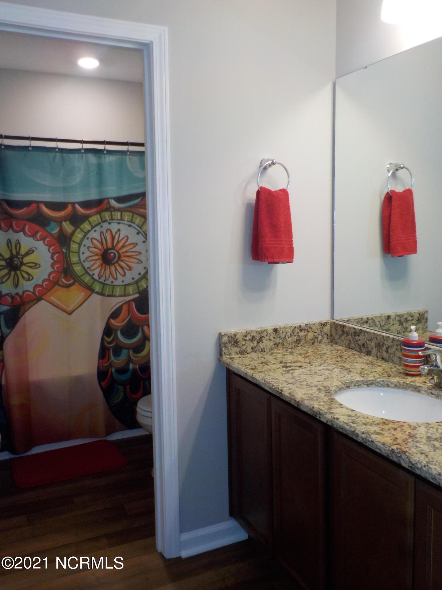 7735 Liles Road Bailey, NC 27807 - Photo 45 of 69 hallway bath, granite counter top