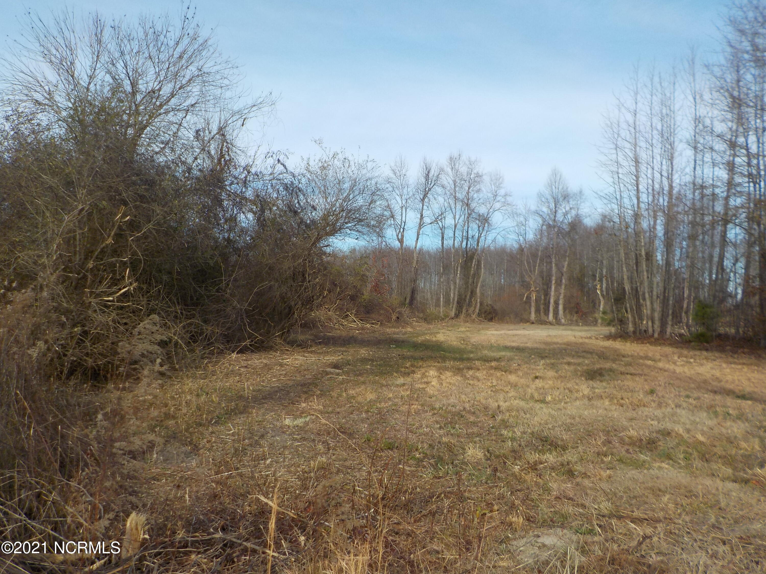 7735 Liles Road Bailey, NC 27807 - Photo 58 of 69 Parcel #2, path goes to back of lot, but the drive at the street is not drivable unless on a truck due to ruts