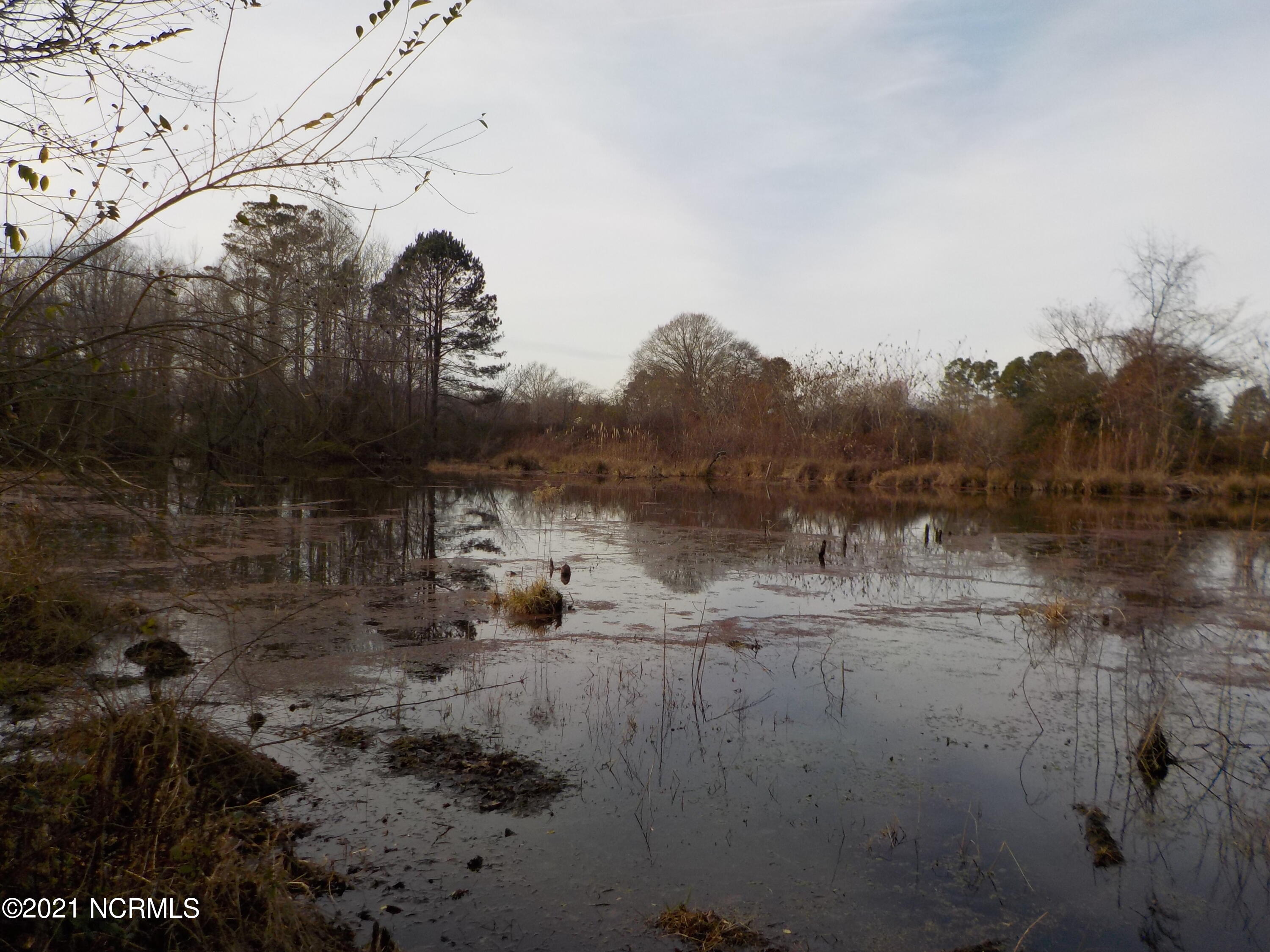 7735 Liles Road Bailey, NC 27807 - Photo 60 of 69 Parcel # 1 pond at the very back, created by beaver damns and fallen trees. If beaver damns were cleared the land may drain