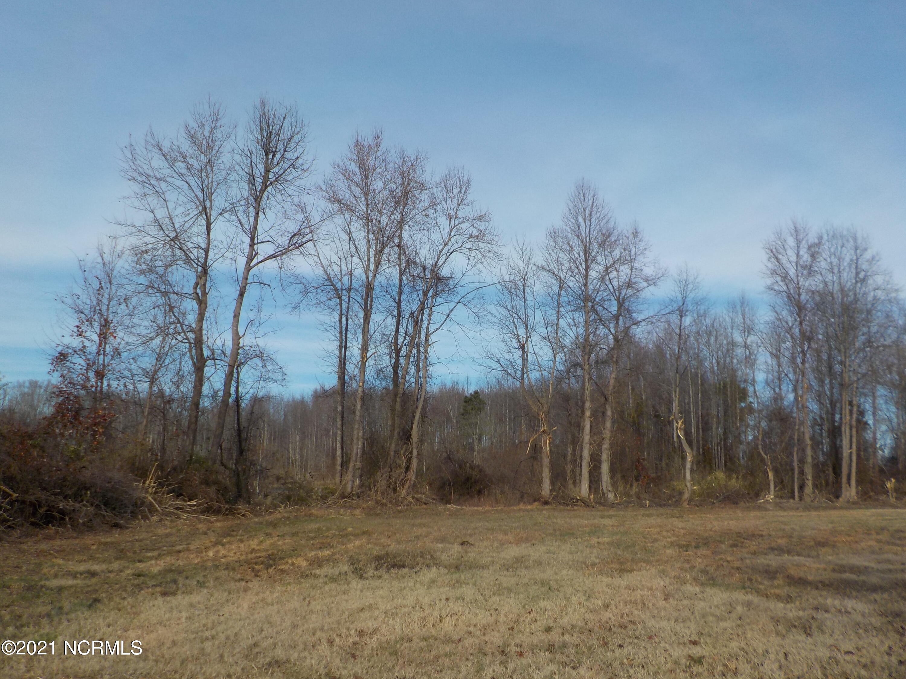 7735 Liles Road Bailey, NC 27807 - Photo 61 of 69 Parcel # 2 view from the lot to the right