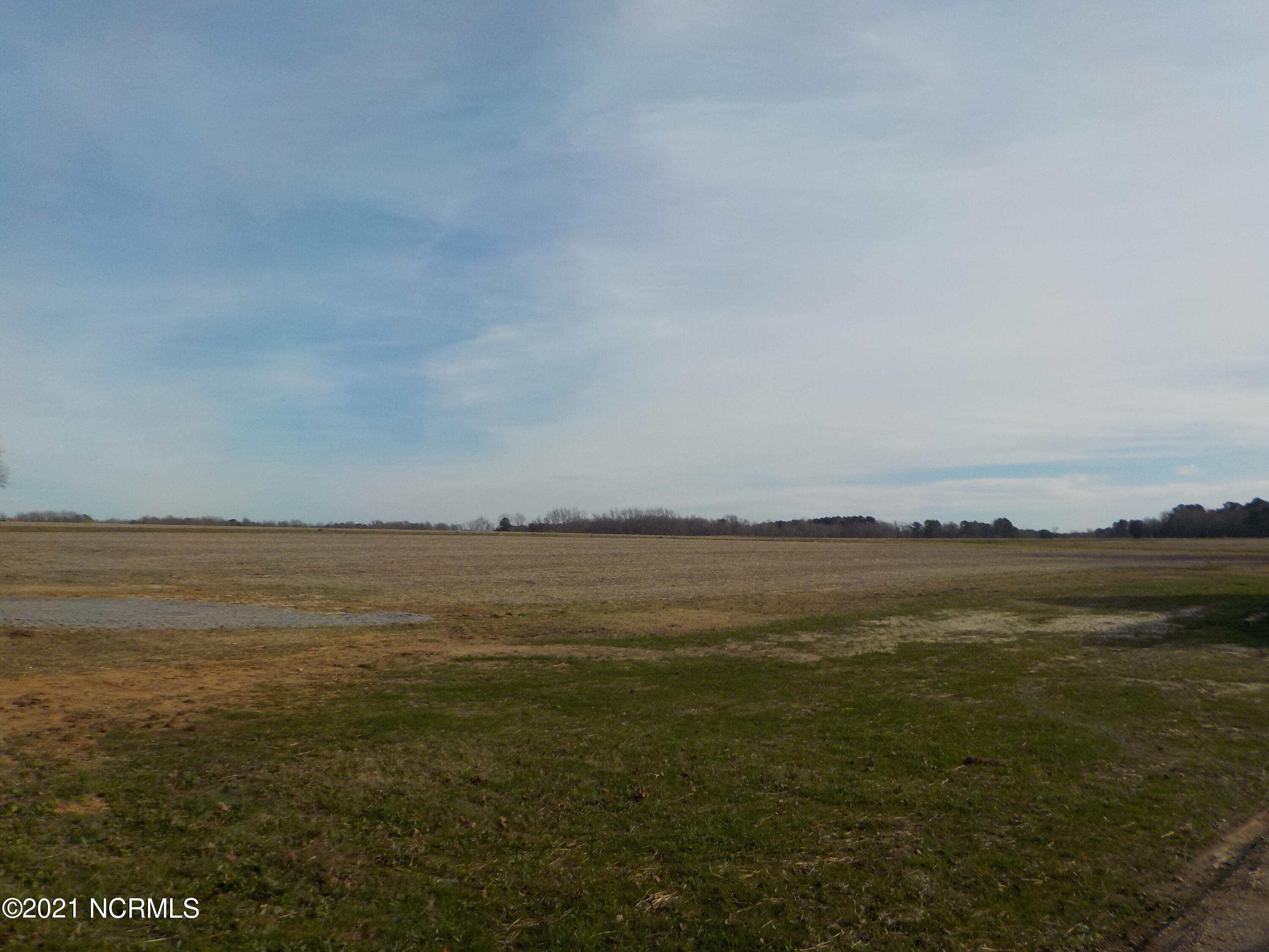 7735 Liles Road Bailey, NC 27807 - Photo 66 of 69 home site view to the left when facing the home. The field is not part of the acreage, just the view