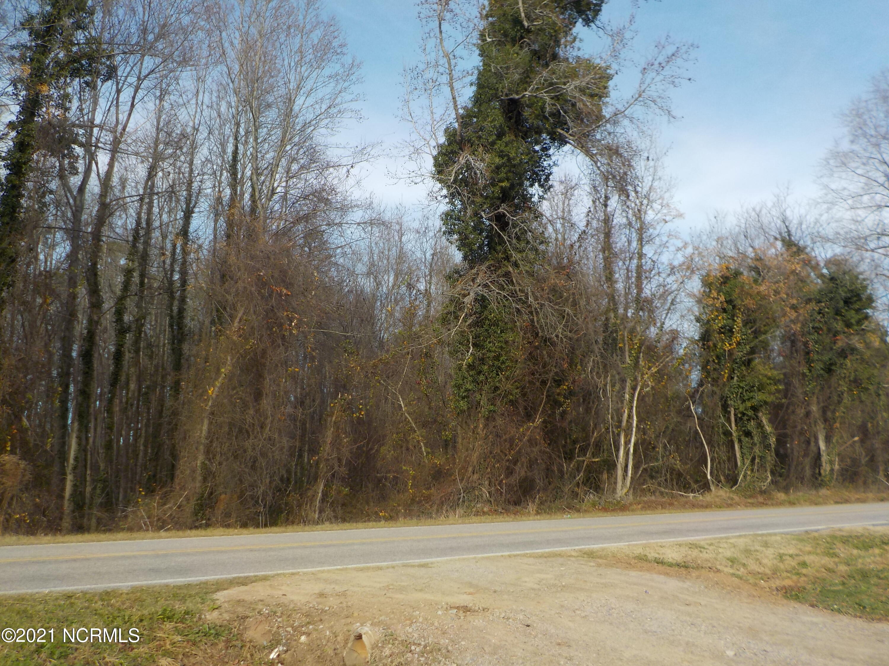 7735 Liles Road Bailey, NC 27807 - Photo 67 of 69 home site view of the woods across the street