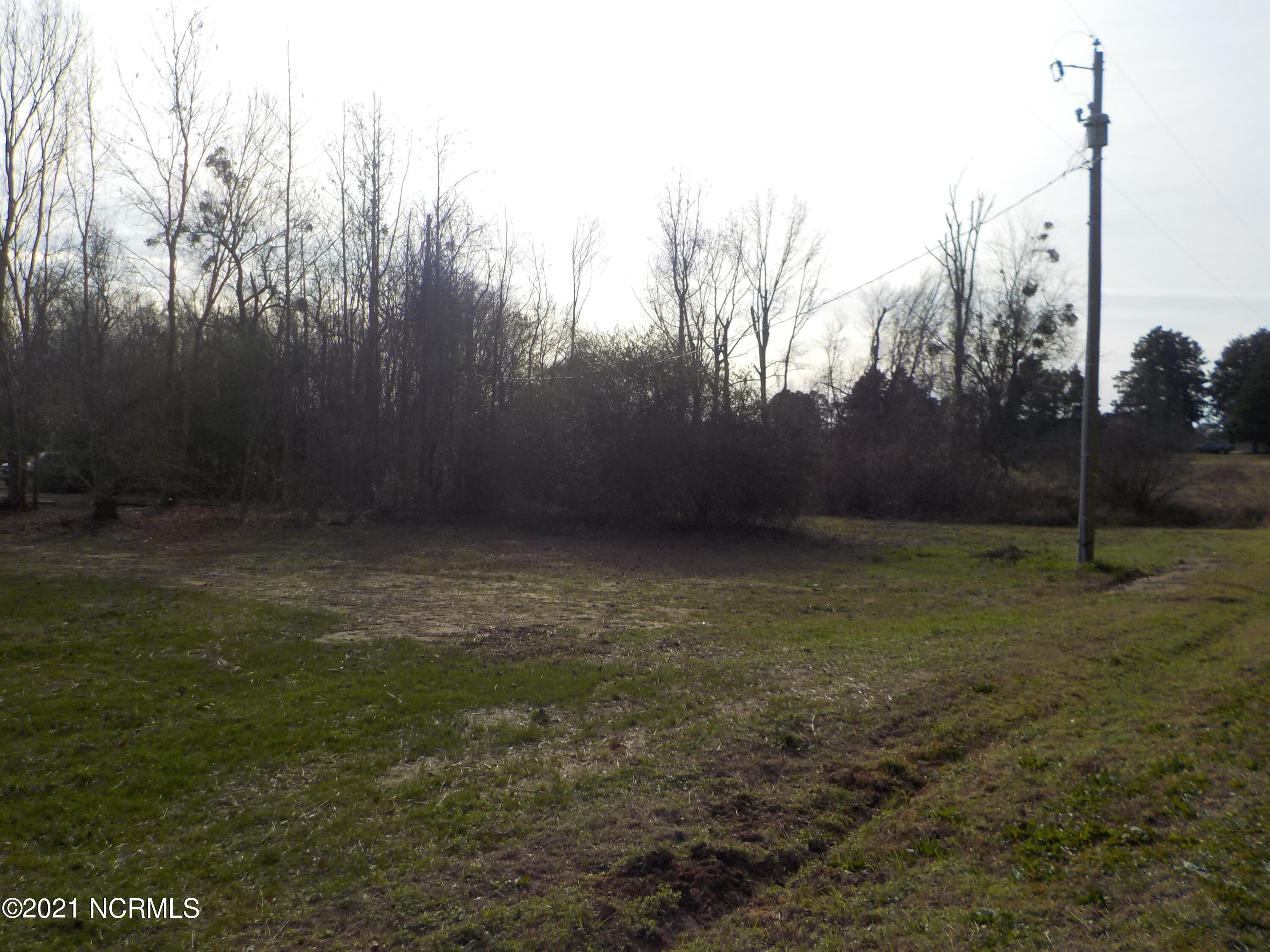 7735 Liles Road Bailey, NC 27807 - Photo 68 of 69 home site view to the right when facing the home, the stream is located near the phone pole