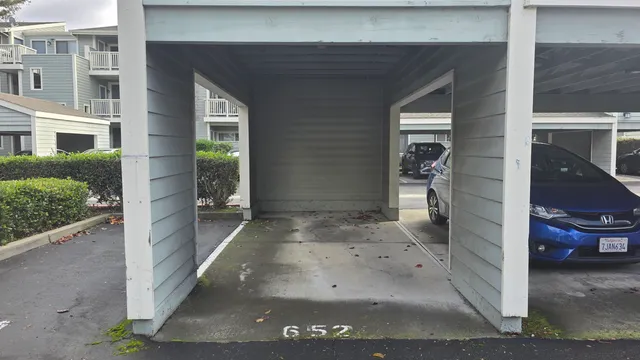 a view of a lush green forest with large trees