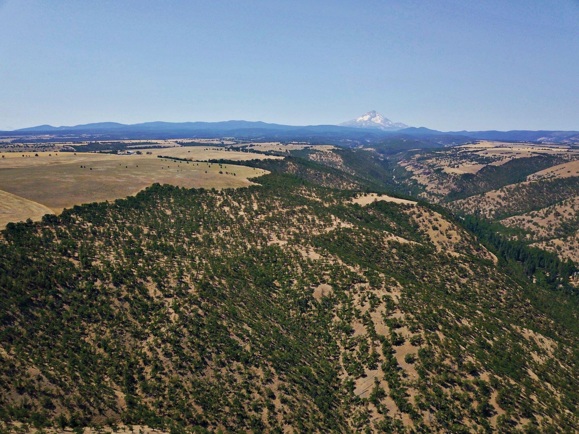 4999 Pleasant Ridge Road The Dalles, OR 97058 - Photo 18 of 42 F19