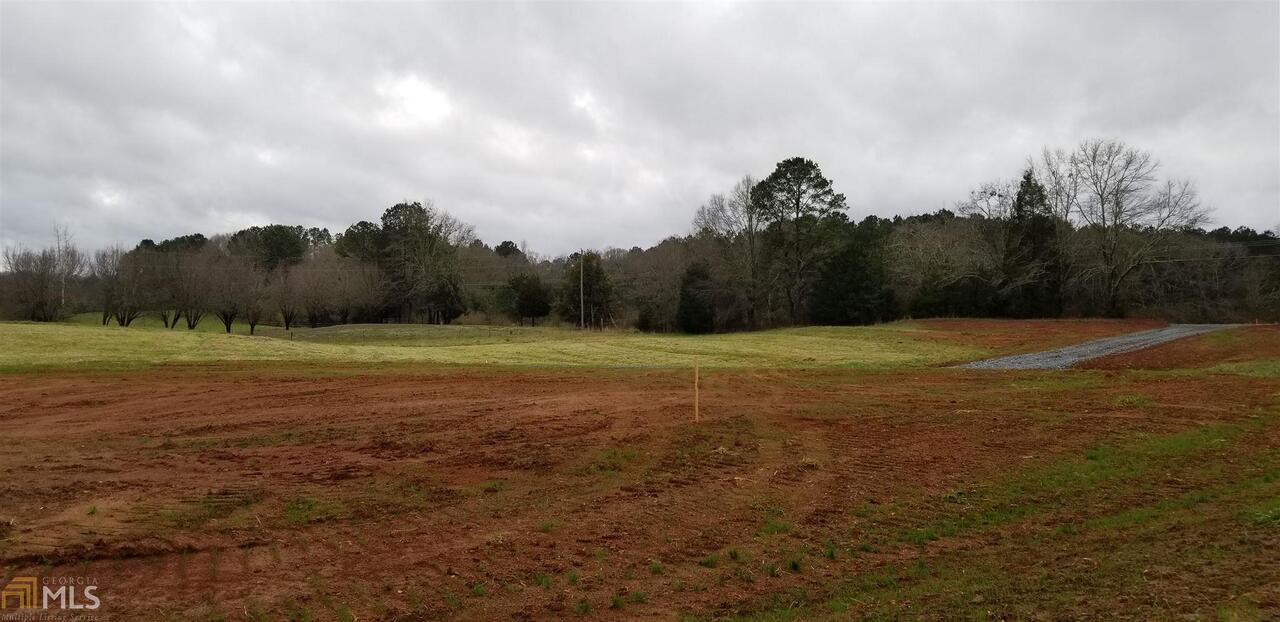 0 Mckneely Road Milner, GA 30257 - Photo 1 of 1 a view of basketball court