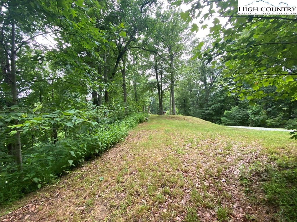 Lot 25 Bee Tree Ridge Lane Vilas, NC 28692 - Photo 11 of 18 Gallery Image 11