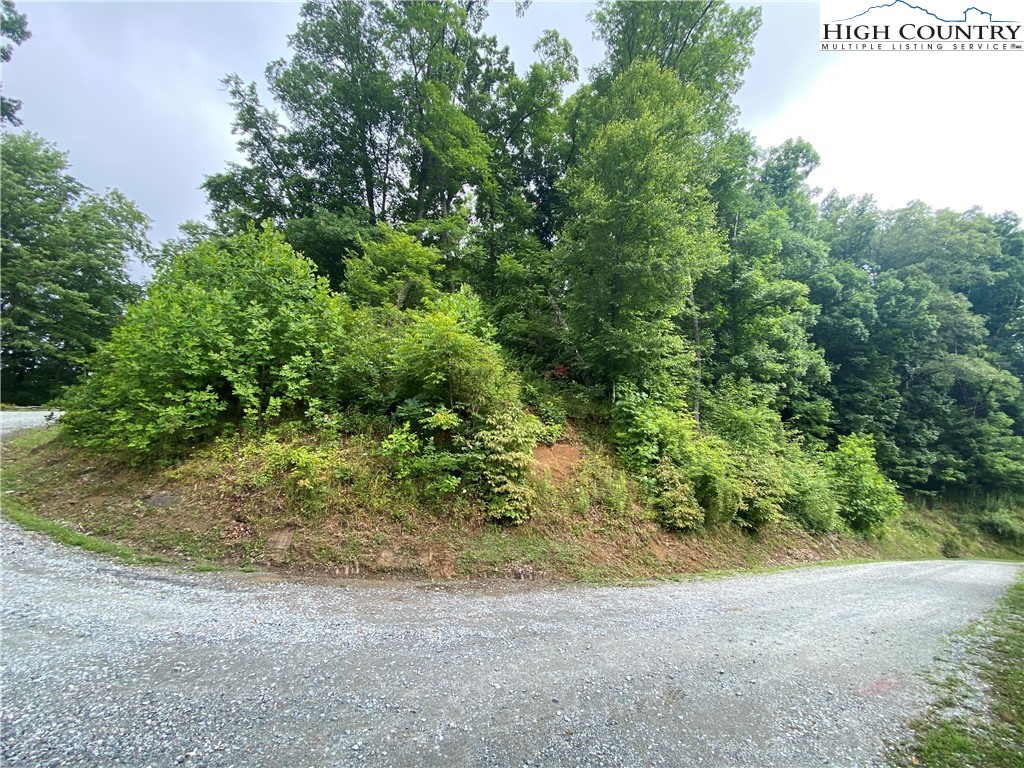 Lot 25 Bee Tree Ridge Lane Vilas, NC 28692 - Photo 12 of 18 Gallery Image 12