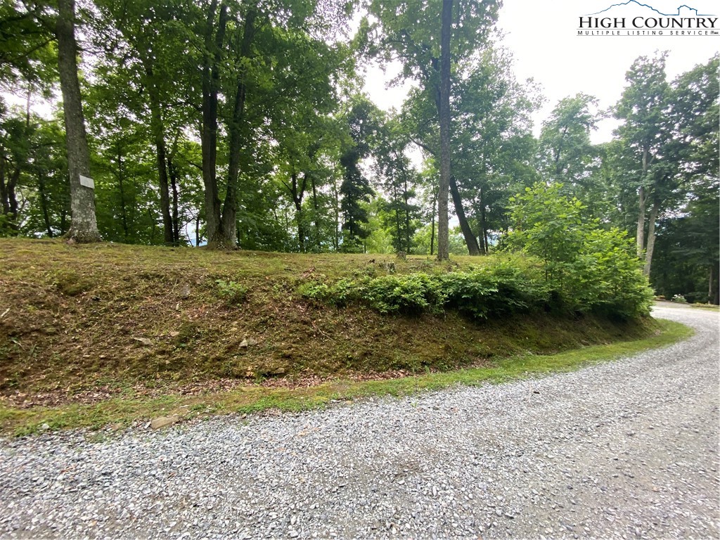 Lot 25 Bee Tree Ridge Lane Vilas, NC 28692 - Photo 15 of 18 Gallery Image 15