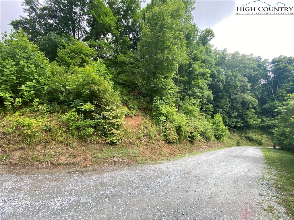 Lot 25 Bee Tree Ridge Lane Vilas, NC 28692 - Photo 18 of 18 Gallery Image 18