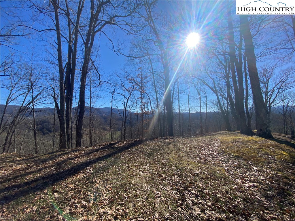 Lot 25 Bee Tree Ridge Lane Vilas, NC 28692 - Photo 2 of 18 Gallery Image 2