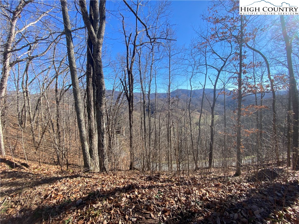 Lot 25 Bee Tree Ridge Lane Vilas, NC 28692 - Photo 3 of 18 Gallery Image 3