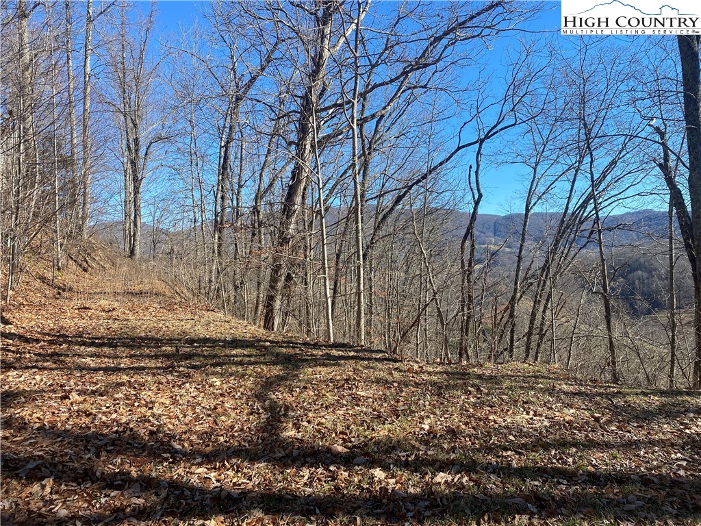 Lot 25 Bee Tree Ridge Lane Vilas, NC 28692 - Photo 4 of 18 Gallery Image 4