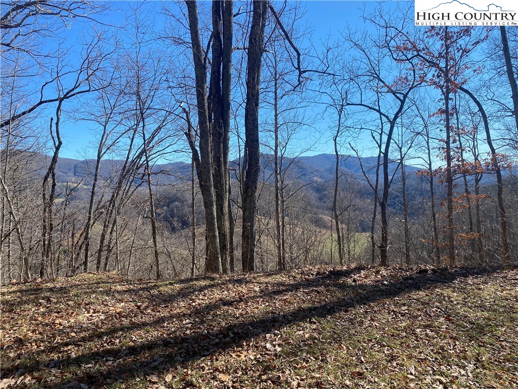 Lot 25 Bee Tree Ridge Lane Vilas, NC 28692 - Photo 5 of 18 Gallery Image 5