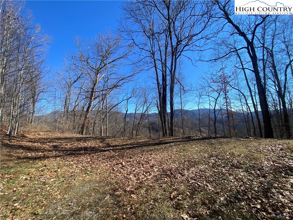 Lot 25 Bee Tree Ridge Lane Vilas, NC 28692 - Photo 7 of 18 Gallery Image 7