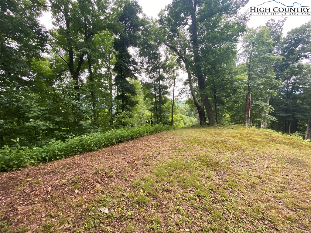 Lot 25 Bee Tree Ridge Lane Vilas, NC 28692 - Photo 8 of 18 Gallery Image 8