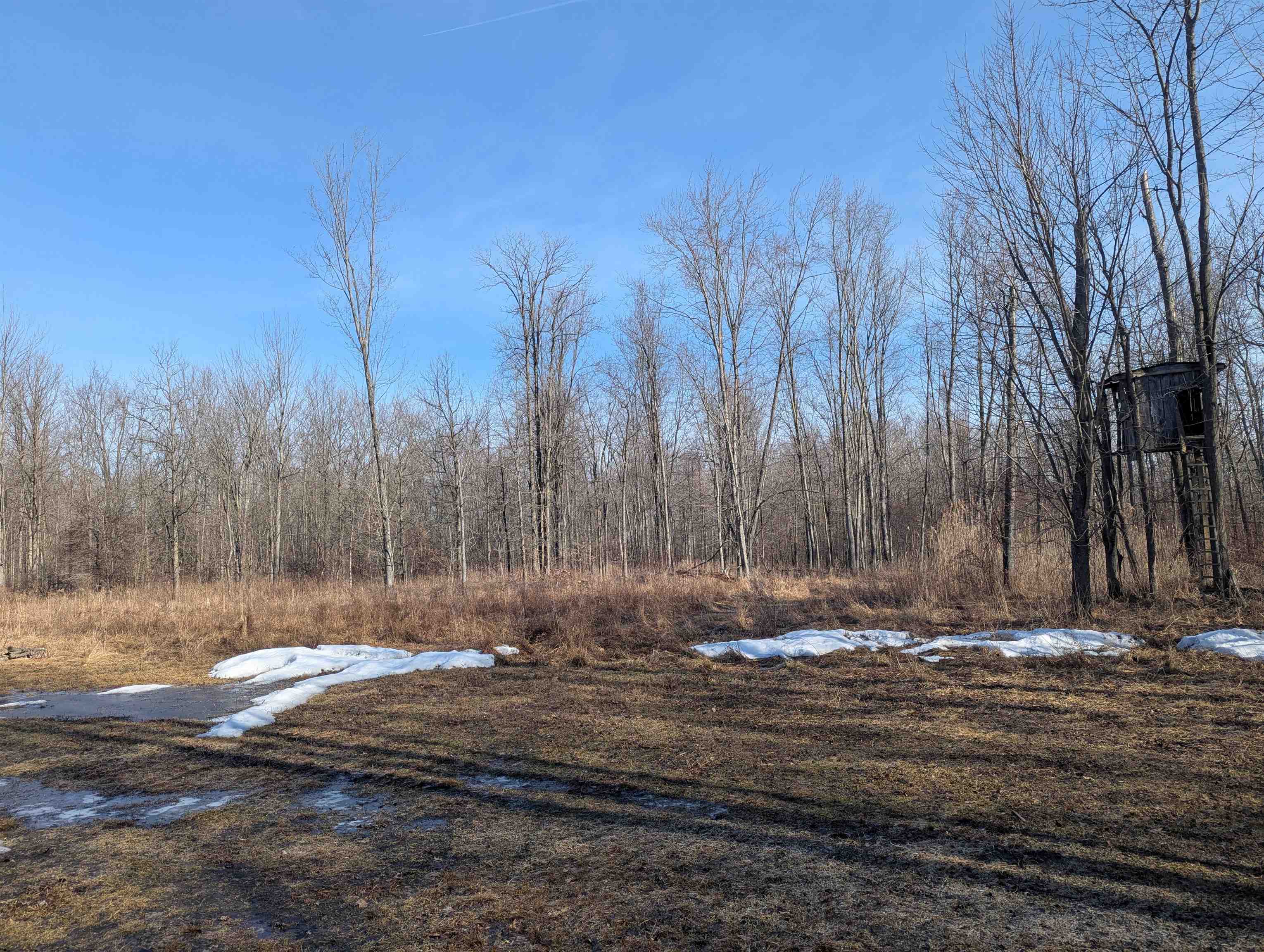 2428 Stowell Road Turner, MI 48765 - Photo 1 of 35